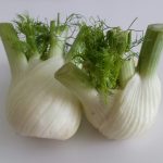 Fennel bulbs