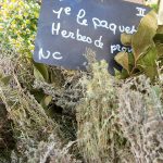 Dried sprigs of herbs which constitute herbs de provence