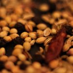 buck and clyde spice mix ready to be ground